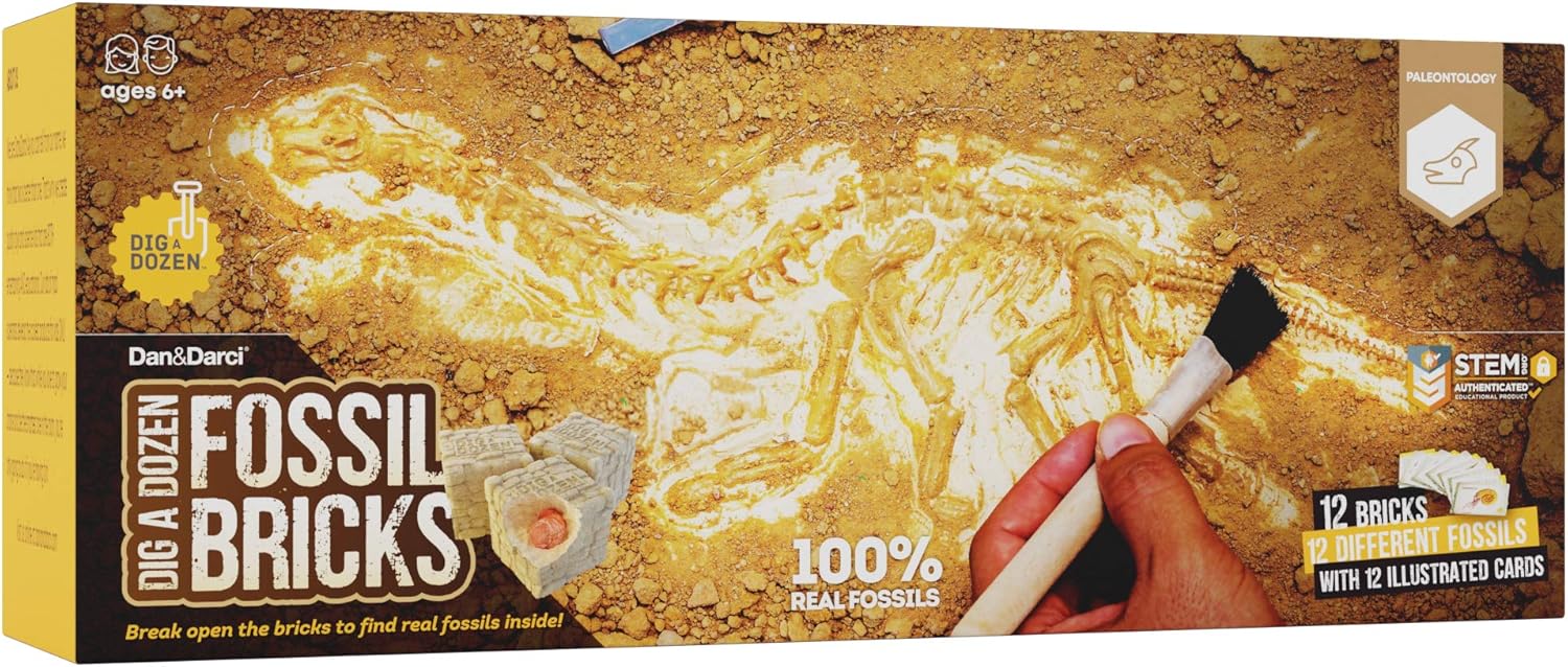 Science - Dinosaur Dig Kit - STEM Learning Toy - Ages 6+