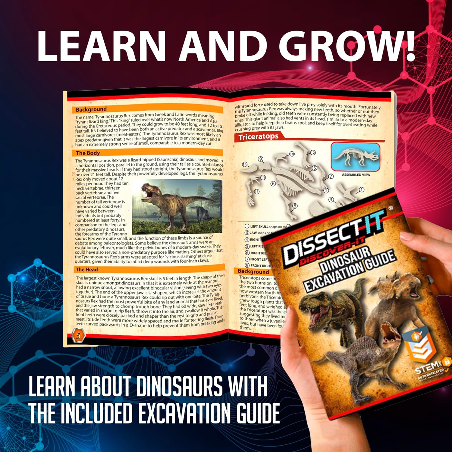 Science - Dinosaur Dig Kit - STEM Learning Toy - Ages 6