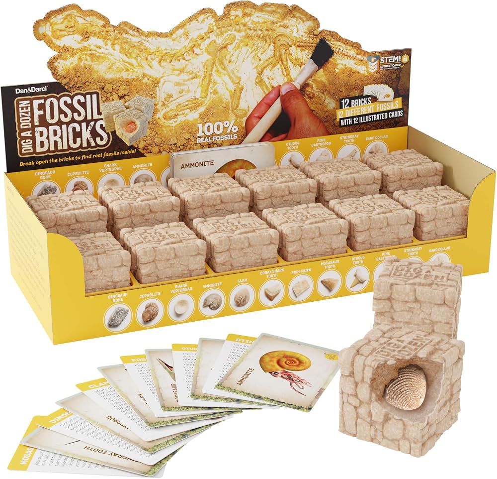 Science - Dinosaur Dig Kit - STEM Learning Toy - Ages 6+