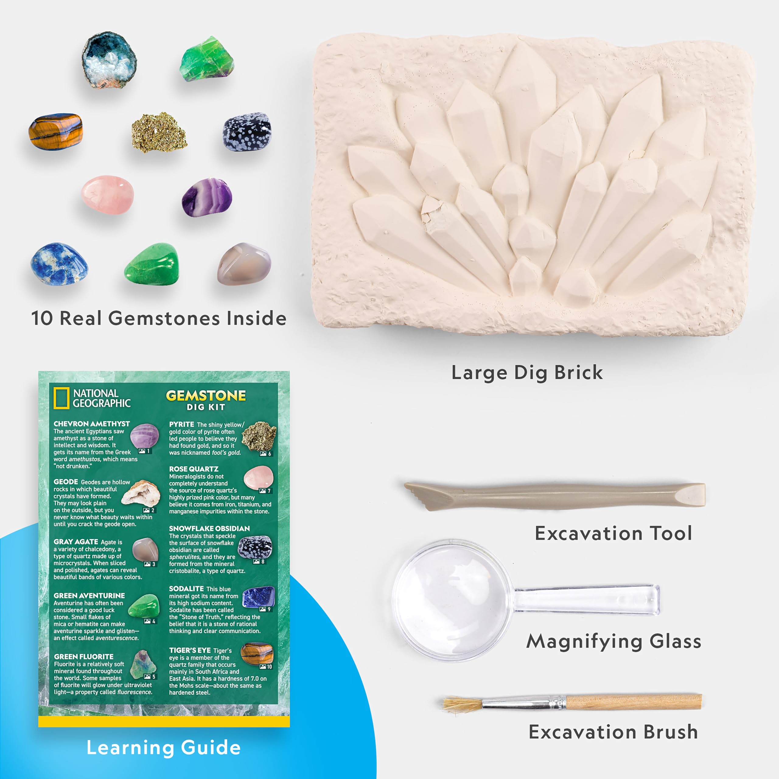 Science - Dinosaur Dig Kit - STEM Learning Toy - Ages 8+