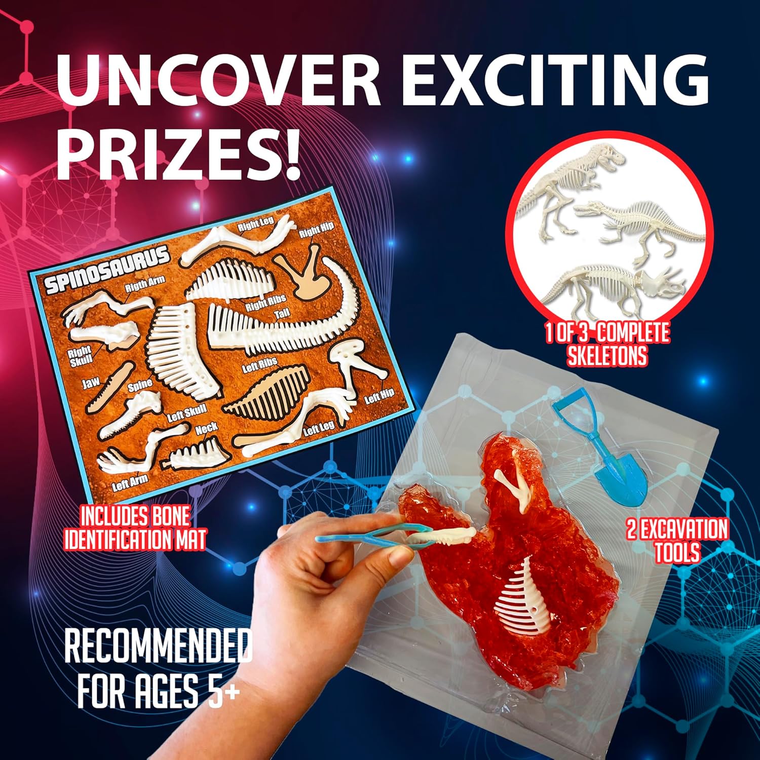 Science - Dinosaur Dig Kit - STEM Learning Toy - Ages 6