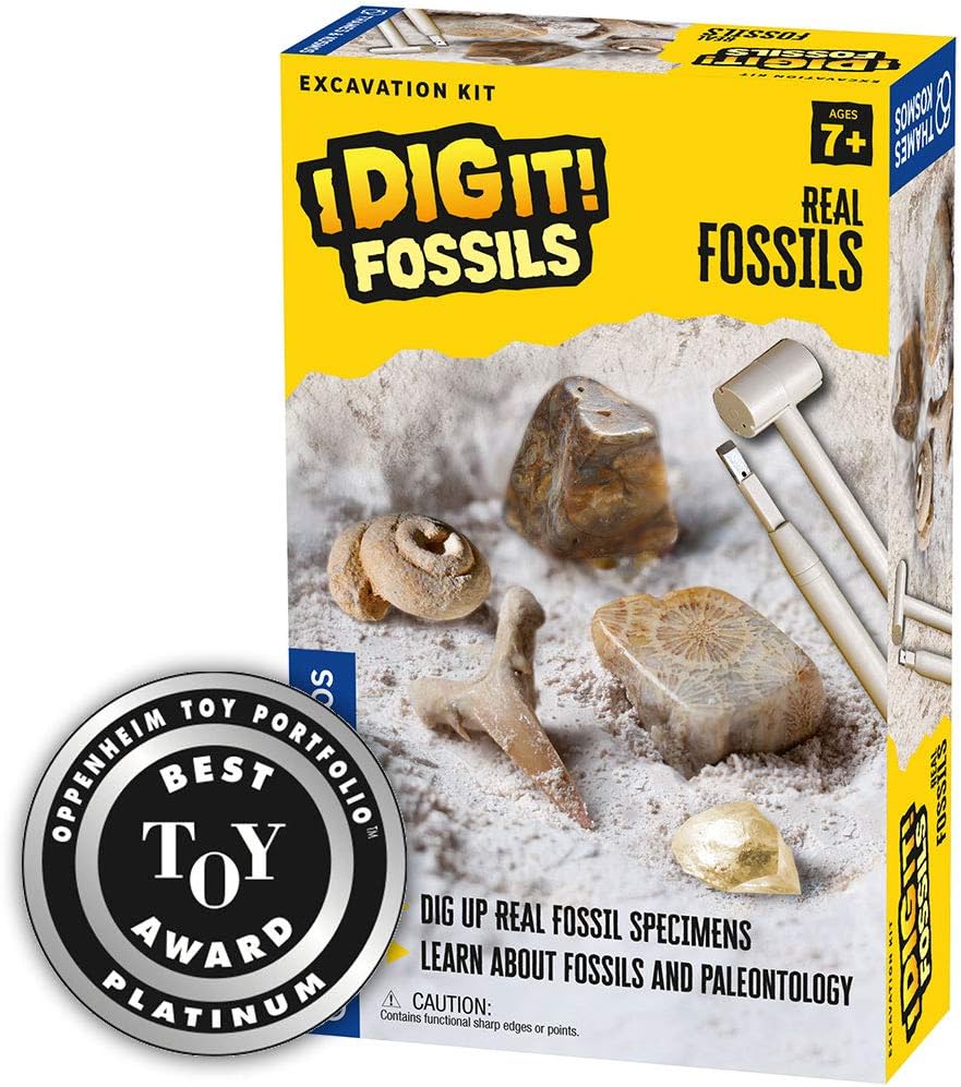Science - Dinosaur Dig Kit - STEM Learning Toy - Ages 7+