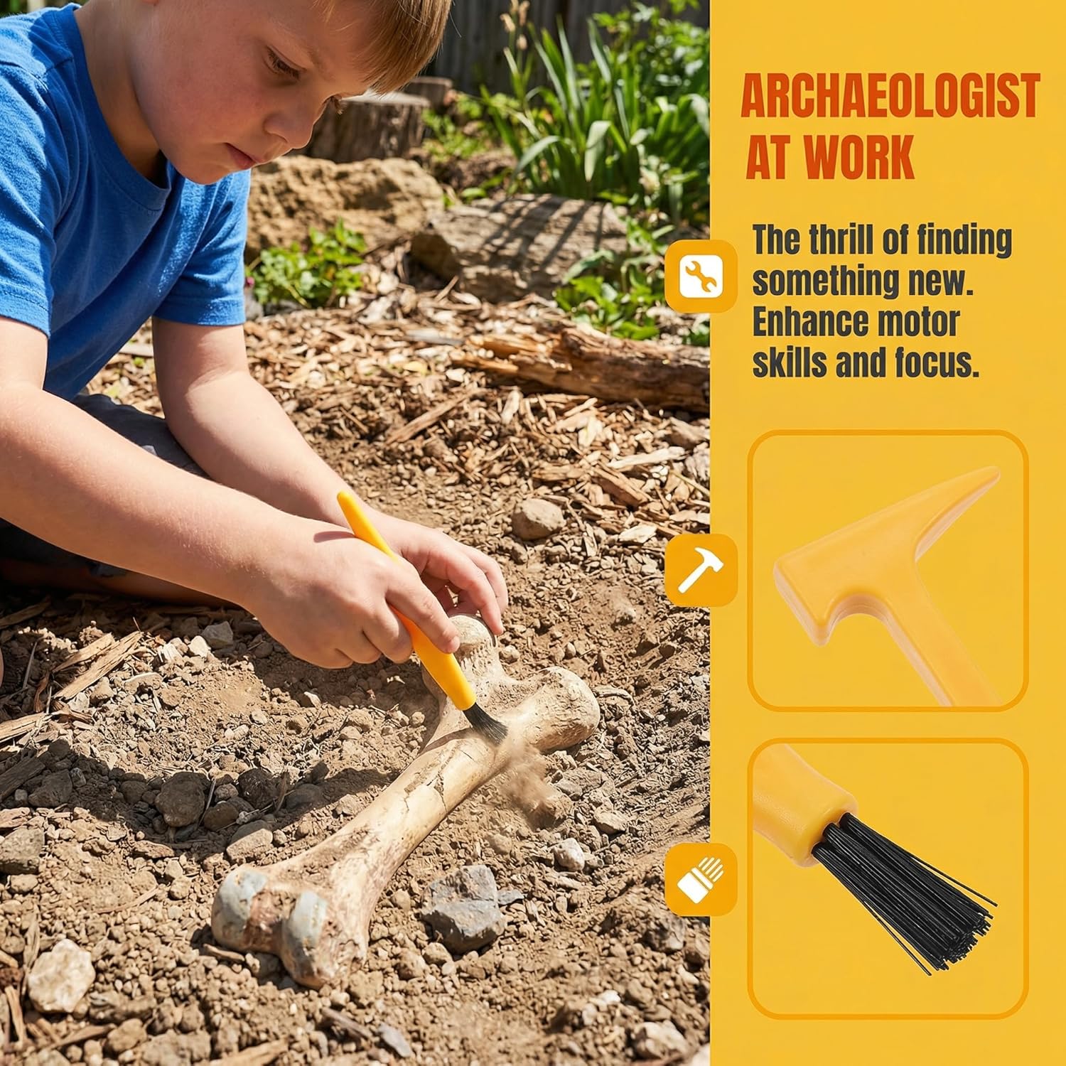 Science - Dinosaur Dig Kit - STEM Learning Toy