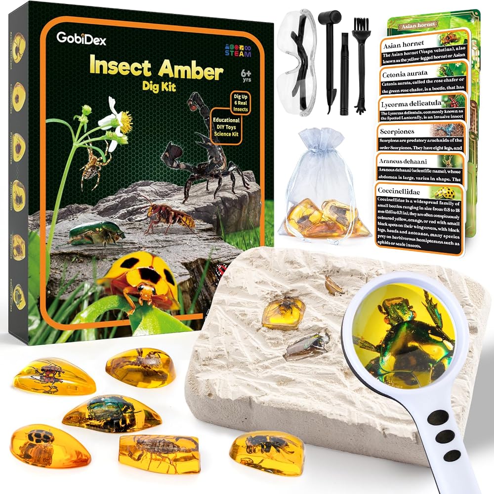 Science - Dinosaur Dig Kit - STEM Learning Toy - Ages 6-8