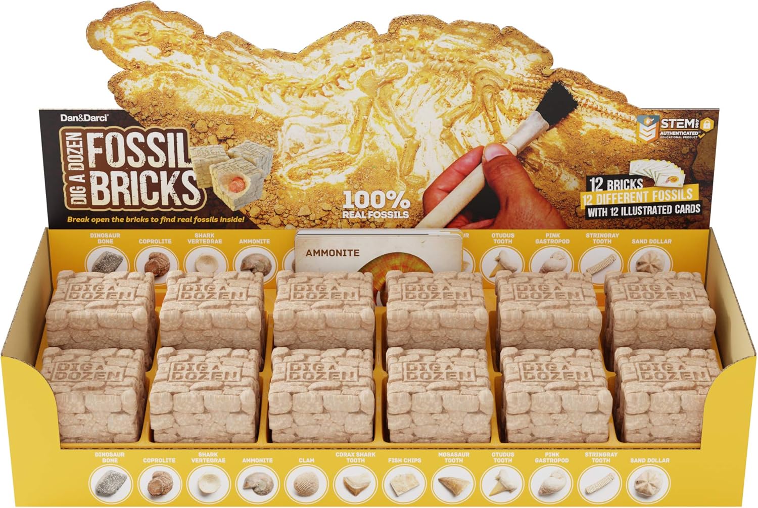 Science - Dinosaur Dig Kit - STEM Learning Toy - Ages 6+